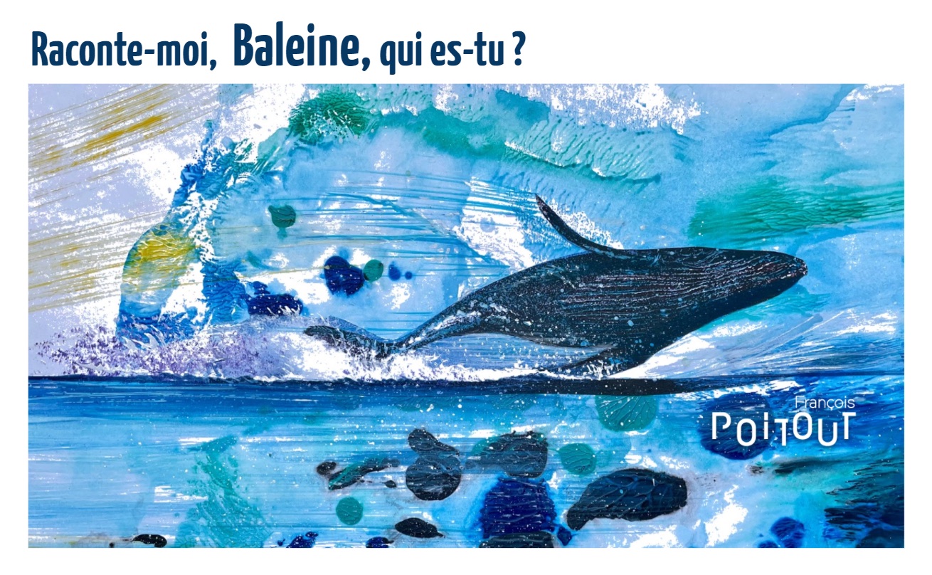 Tell Me, Whale, Who Are You? — cover — Tell Me, Whale, Who Are You? (Raconte-moi, Baleine, qui es-tu ?), illustrated books by François Poitout