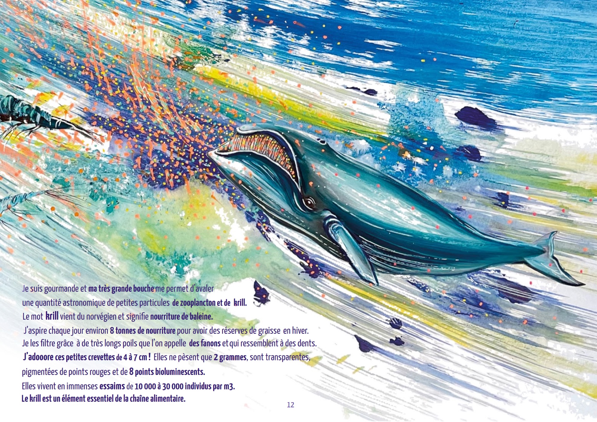 Tell Me, Whale, Who Are You? — excerpt, page 2 — Tell Me, Whale, Who Are You? (Raconte-moi, Baleine, qui es-tu ?), illustrated books by François Poitout