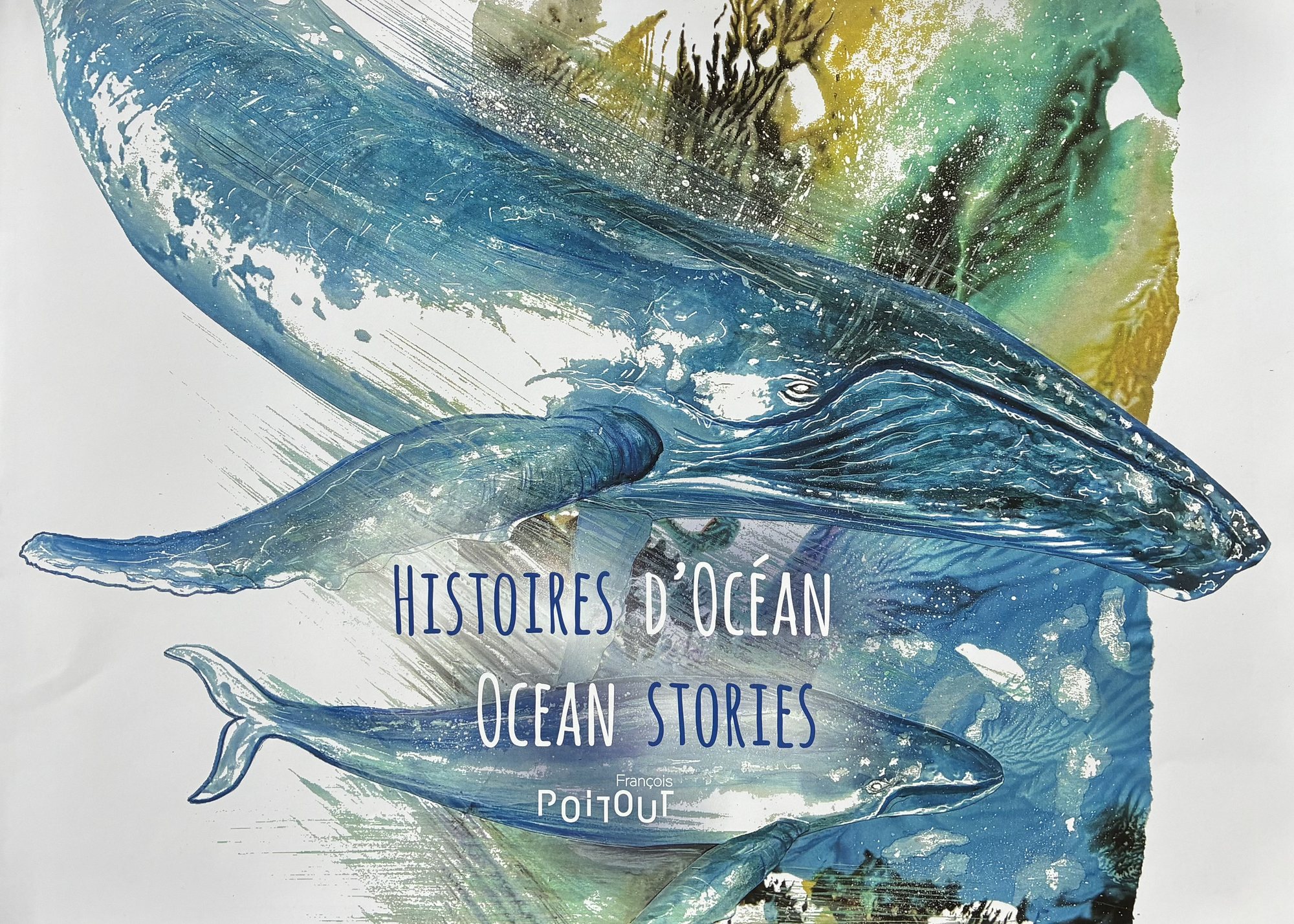 Ocean Stories — cover — Ocean Stories — Histoires d’Océan, illustrated books by François Poitout