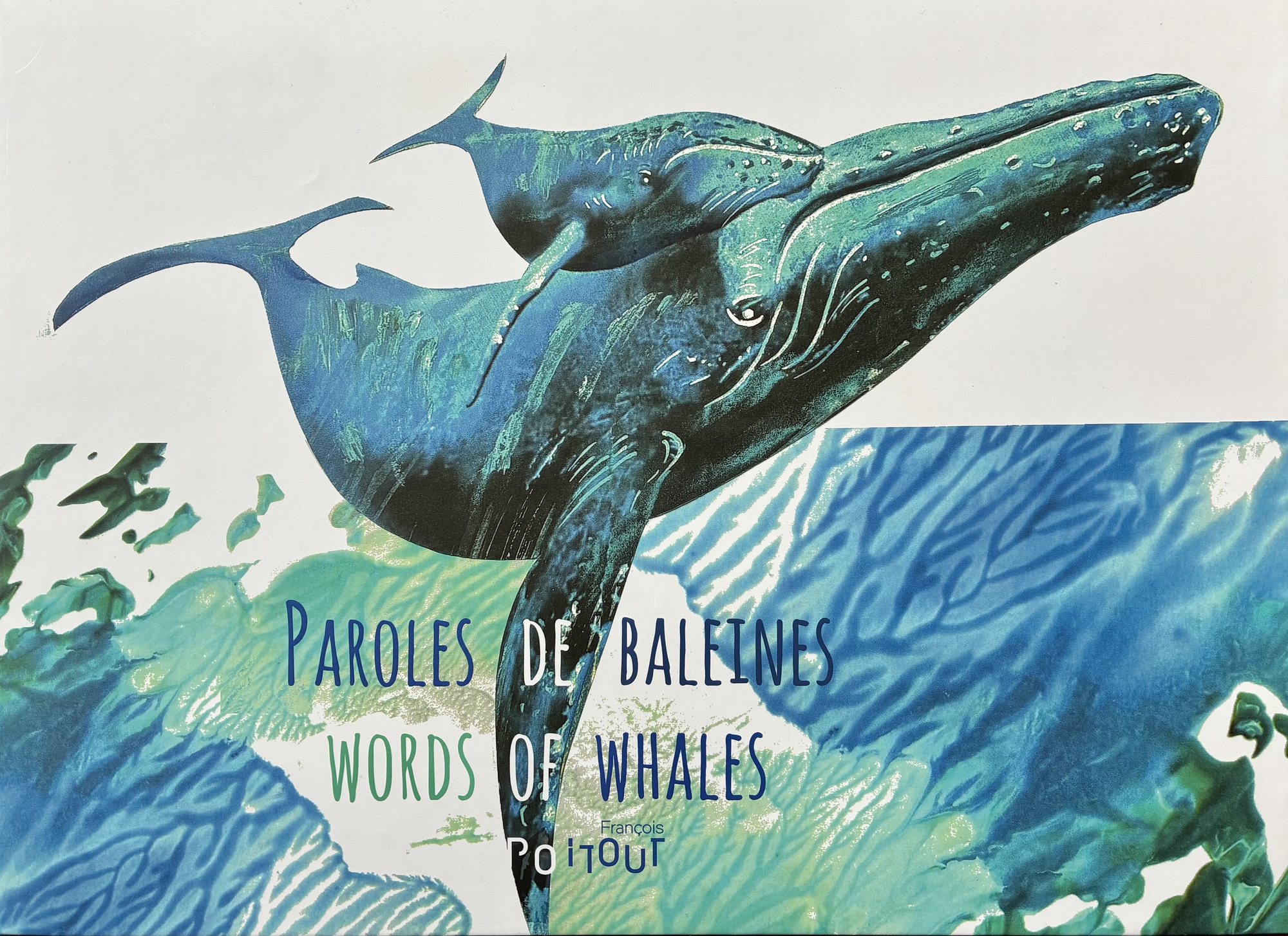 Albums illustrés